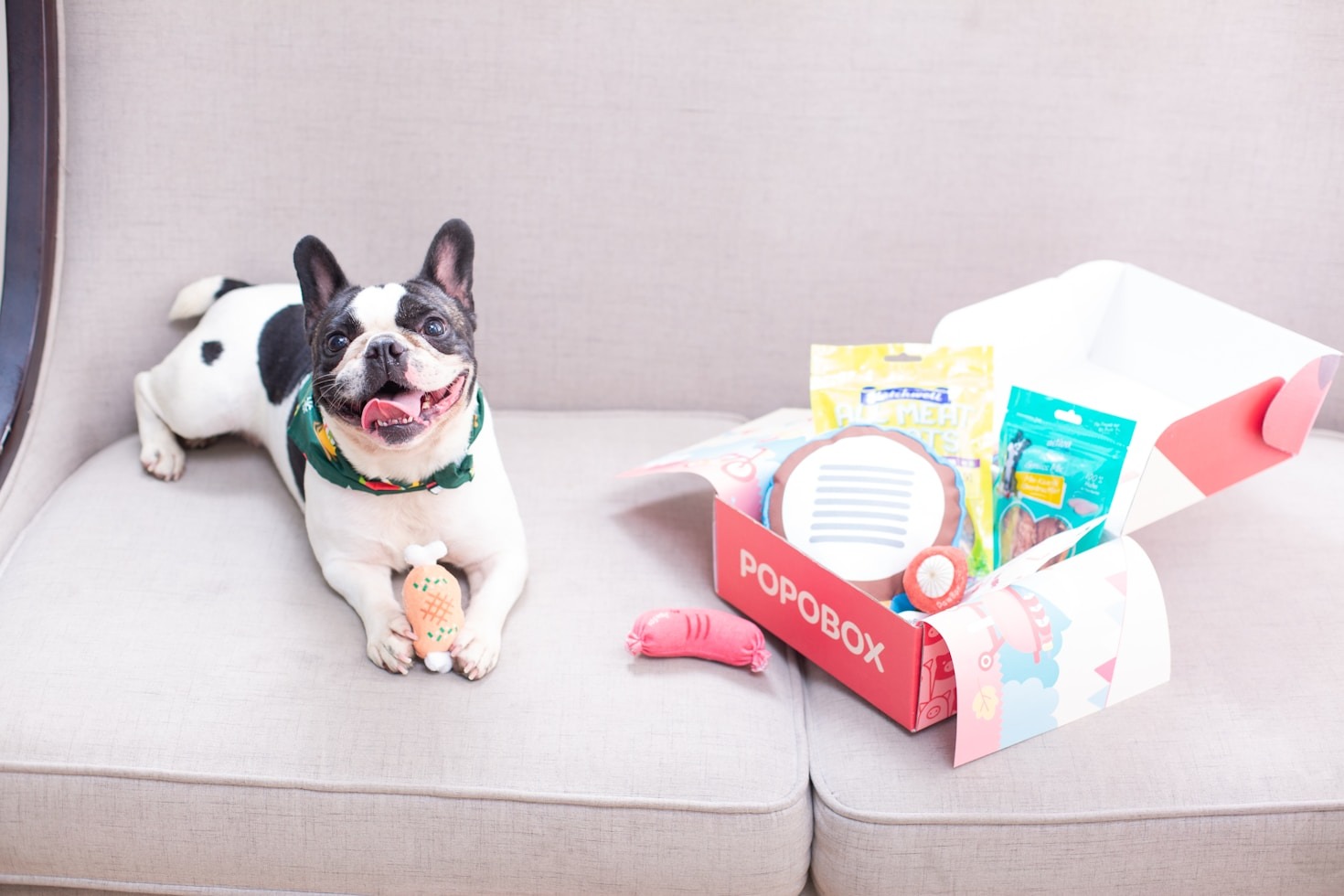 Creating a Comfort-First Home for Your French Bulldog